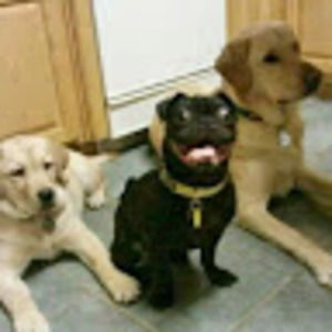 Meet your Posher, Hannah